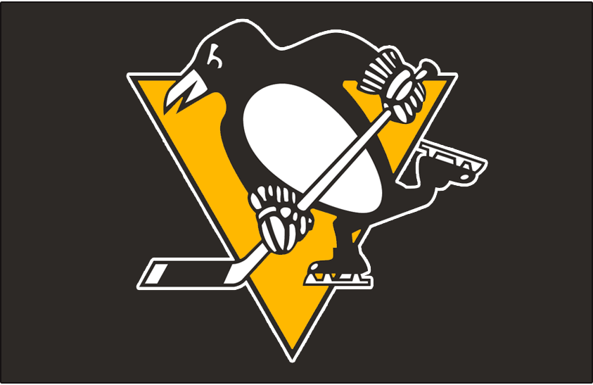 Pittsburgh Penguins 2016-Pres Jersey Logo t shirts DIY iron ons v2